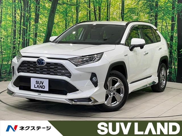 RAV4 2.5 ハイブリッド G E-Four 4WD （6AA-AXAH54）