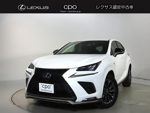 NX300h アーバンスタイルクール&ブライト