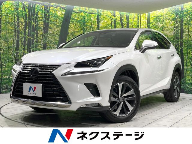 NX 200t Iパッケージ 