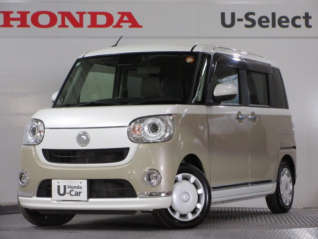 ムーヴキャンバス G メイクアップ VS SAIII 