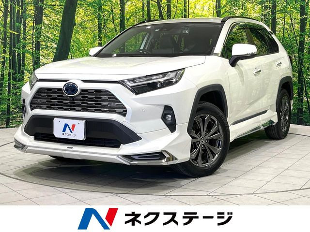 RAV4 2.5 ハイブリッド G E-Four 4WD （6AA-AXAH54）