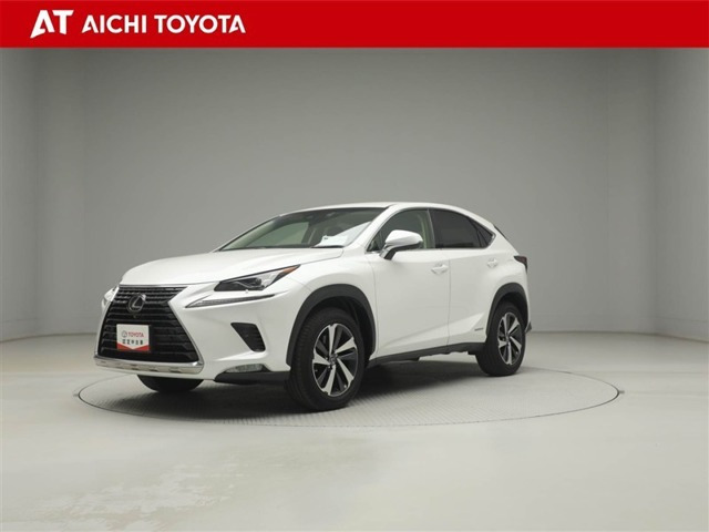 NX 300h バージョンL