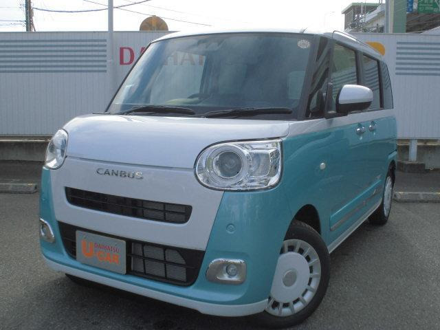 ムーヴキャンバス  ストライプス G