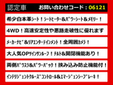 エルグランド 3.5 VIP 4WD サンルーフ 白本革シート リアエンタメ