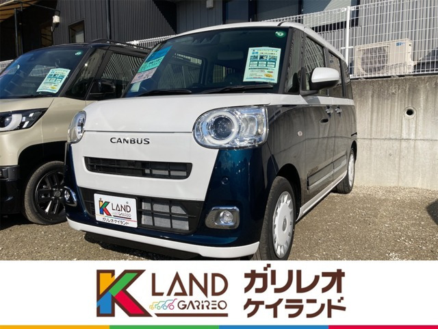 ムーヴキャンバス  ストライプス G