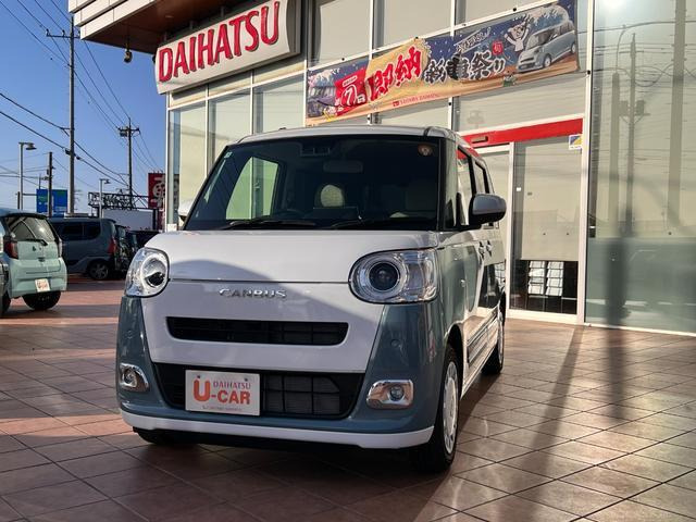 ムーヴキャンバス  ストライプス G