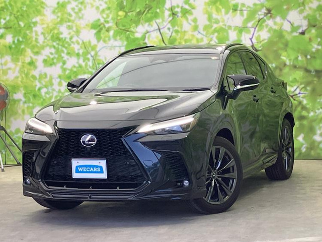 NX350h Fスポーツ