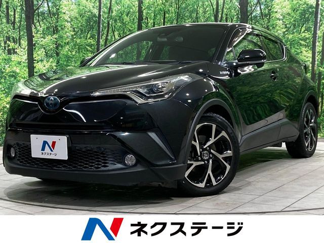 C-HR  G