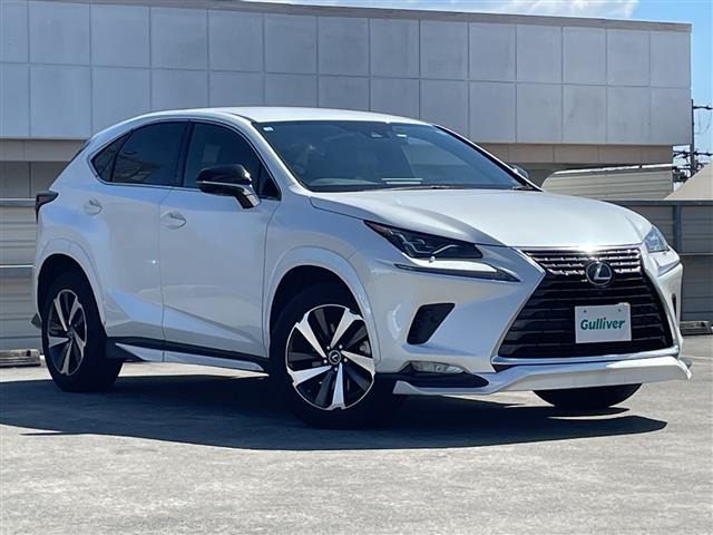 NX300 スパイス&シック本革シート 修復歴無し