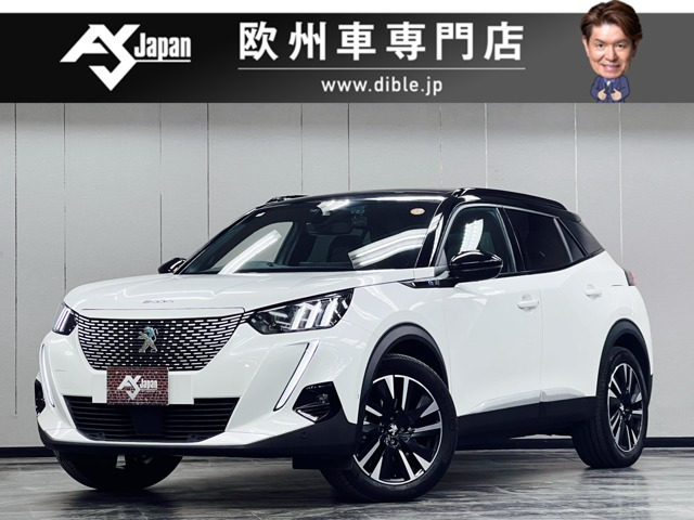 e-2008GT1オーナー 禁煙車 充電ケーブル付