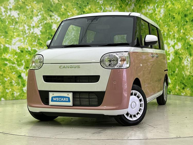 ムーヴキャンバス ストライプス X 