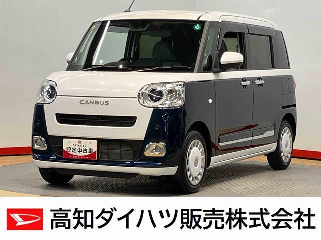 ムーヴキャンバス  ストライプス G