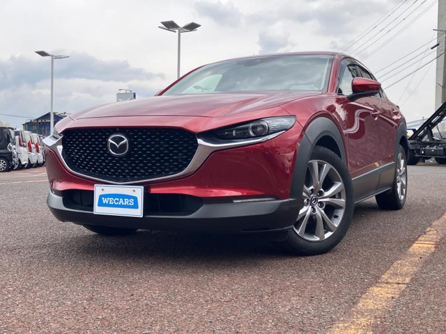 CX-301.8 XD Lパッケージ