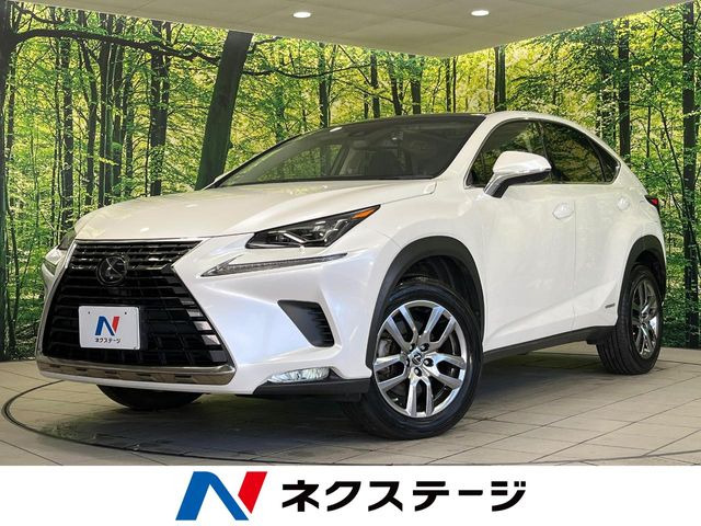NX 300h バージョンL 