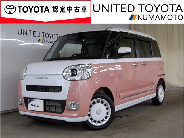 ムーヴキャンバス  ストライプス G