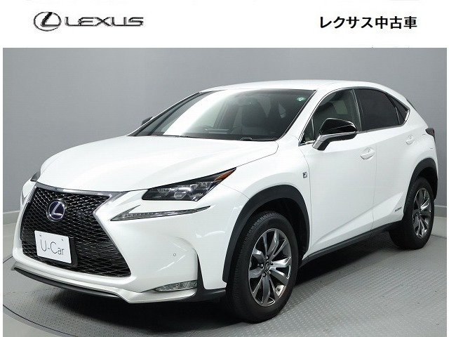 NX 300h Fスポーツ （DAA-AYZ10）