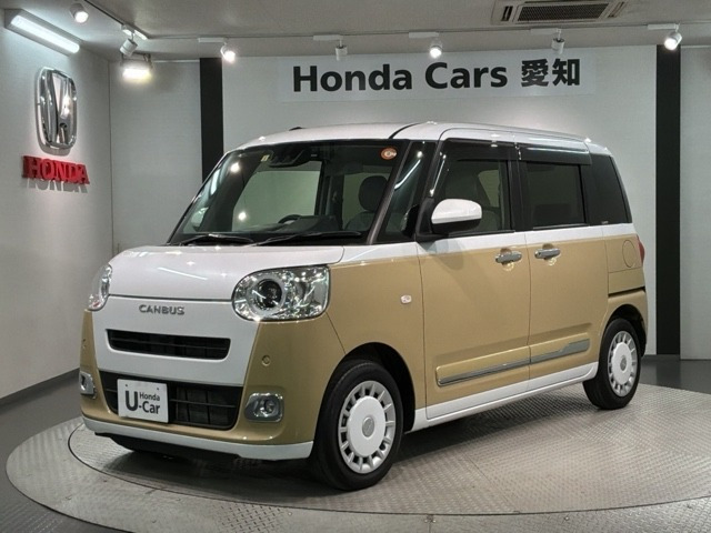 ムーヴキャンバス  ストライプス G