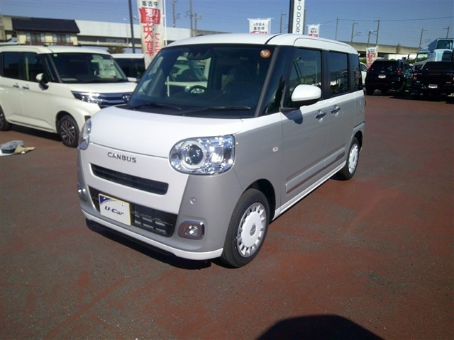 ムーヴキャンバス  ストライプス G