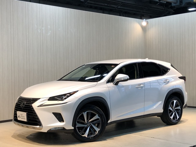 NX300 バージョンL 4WD