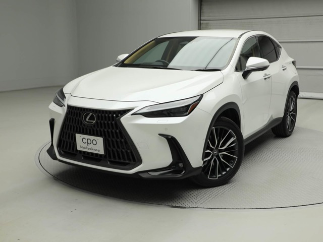 NX 350h バージョンL （6AA-AAZH20）
