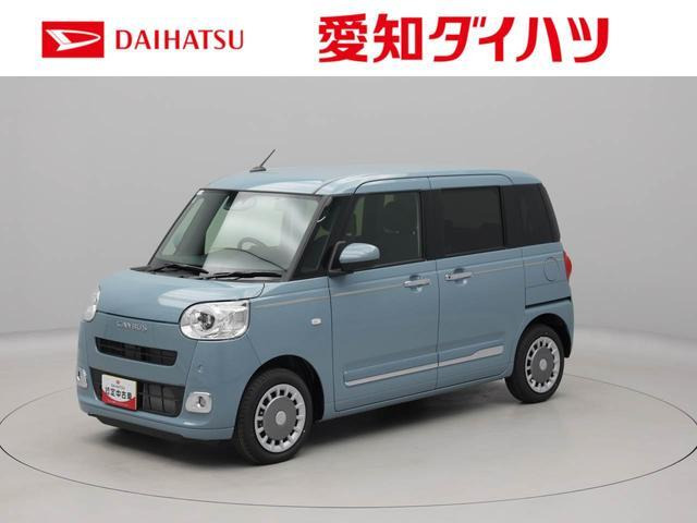 ムーヴキャンバス  セオリー G