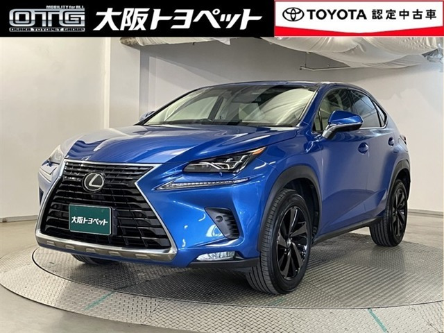 NX 300 バージョンL 