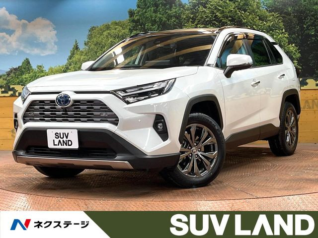 RAV4 2.5 ハイブリッド G E-Four 4WD （6AA-AXAH54）