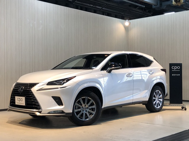 NX300h スパイス&シック 4WD