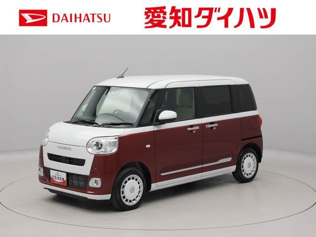 ムーヴキャンバス  ストライプス G