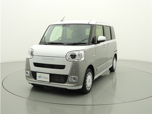 ムーヴキャンバス  ストライプス G