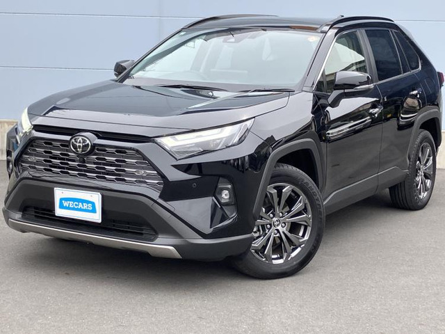 RAV4 2.5 ハイブリッド G E-Four 4WD （6AA-AXAH54）