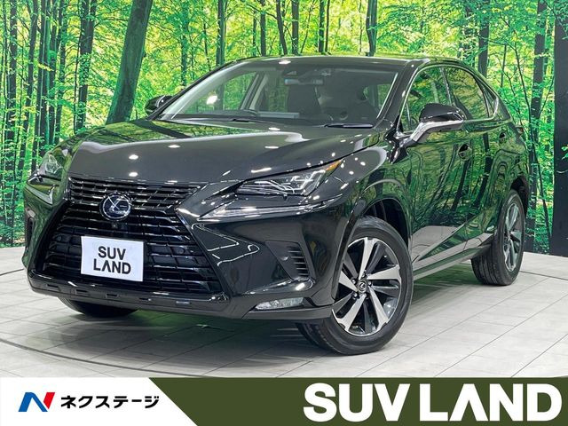 NX300h ブラック シークエンス