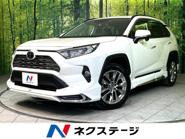 RAV4 2.0 G Zパッケージ 4WD （6BA-MXAA54）