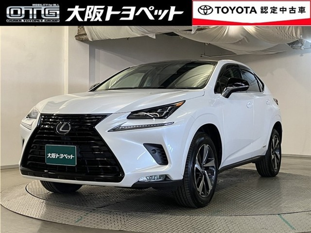 NX 300h ブラック シークエンス（DAA-AYZ10）