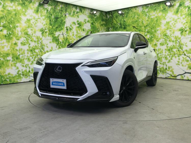 NX350h Fスポーツ