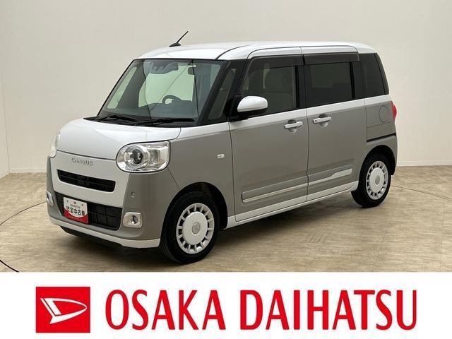 ムーヴキャンバス  ストライプス G