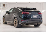 Full exterior carbon fiber package  - Shiny