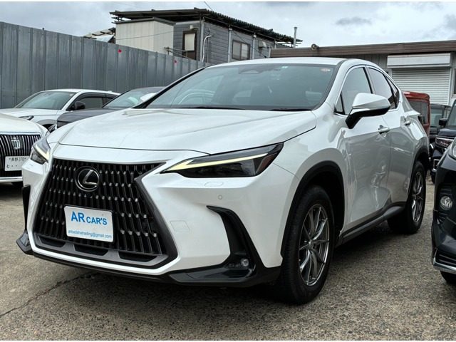 NX250 バージョンL 4WD