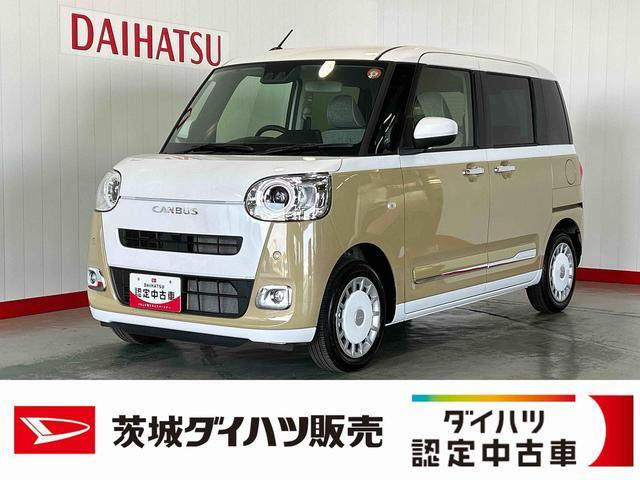 ムーヴキャンバス  ストライプス G