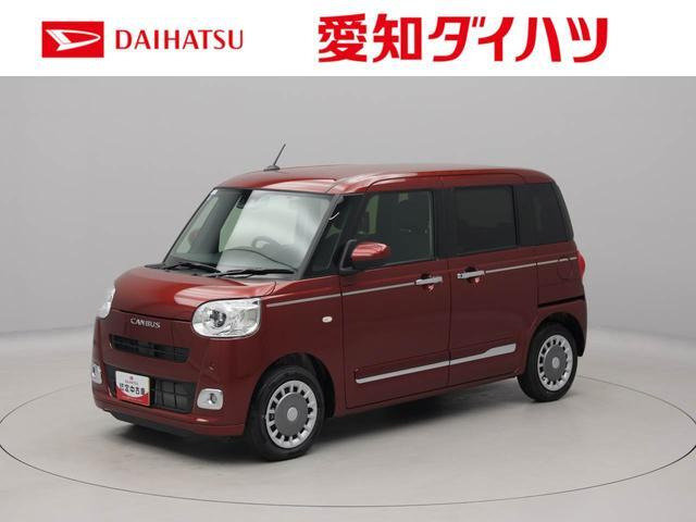 ムーヴキャンバス  セオリー G