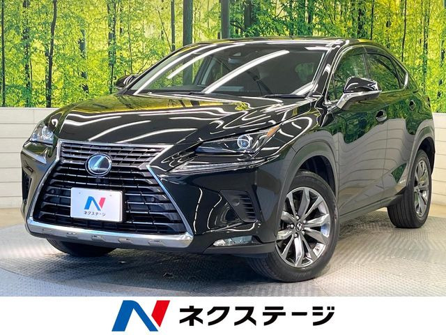 NX300h
