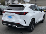 NX 350h Fスポーツ 
