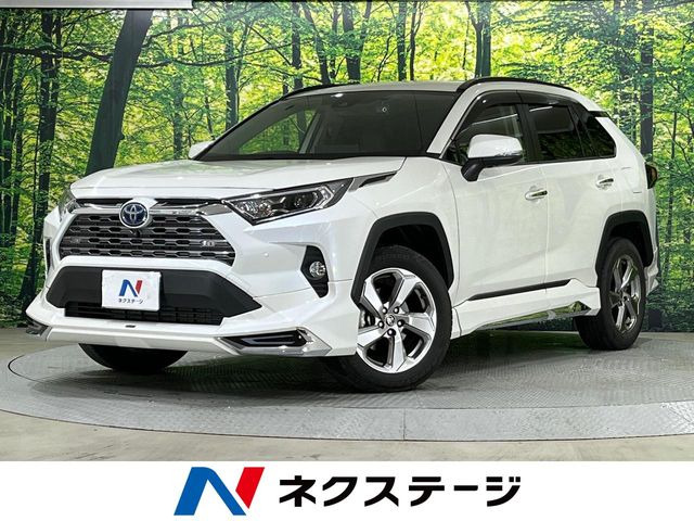 RAV4 2.5 ハイブリッド G E-Four 4WD （6AA-AXAH54）