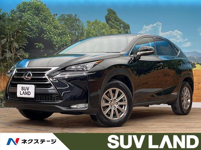 NX 300h Iパッケージ （DAA-AYZ15）