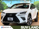 純正10型ナビ 全周囲カメラ レーダークルーズ ブラインドスポットモニタ