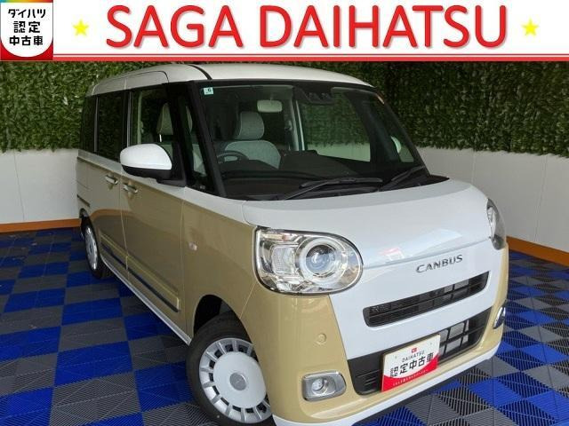 ムーヴキャンバス  ストライプス G