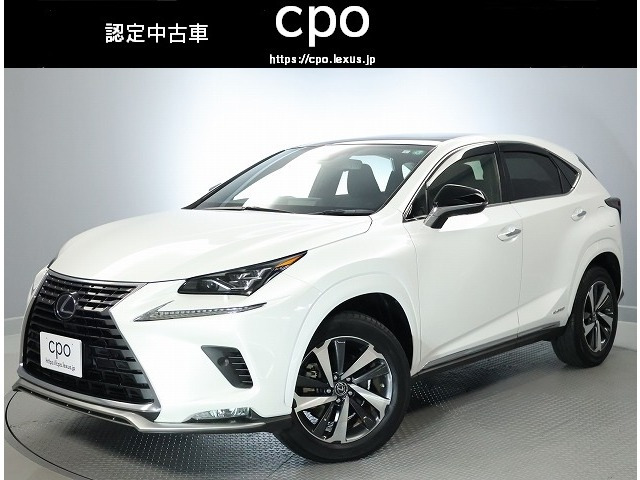 NX300hスパイス&シック