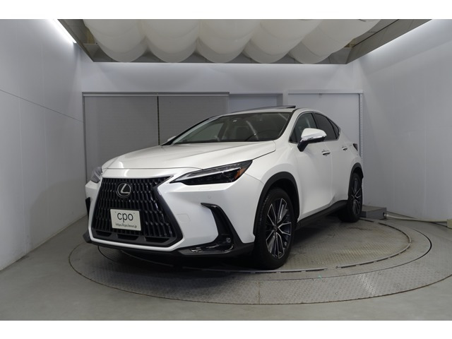 NX 250 バージョンL NX 250 バージョンL（5BA-AAZA20）