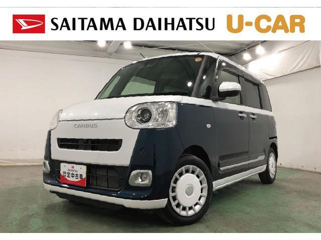 ムーヴキャンバス  ストライプス G