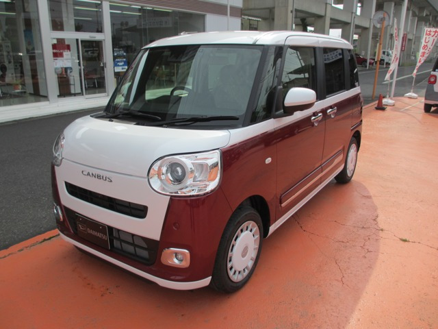 ムーヴキャンバス  ストライプス G